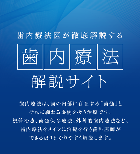 歯内療法医が徹底解説