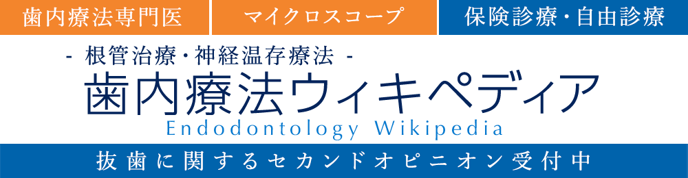 根管治療後の痛み 腫れについて いつまで続くの 歯内療法医が解説